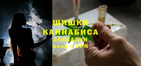 гашик Белокуриха