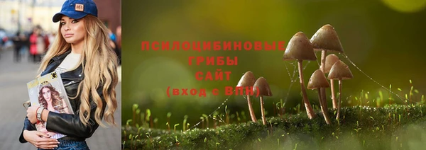 гашик Белокуриха