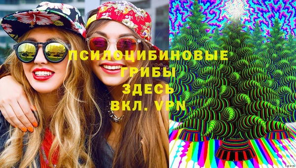 гашик Белокуриха