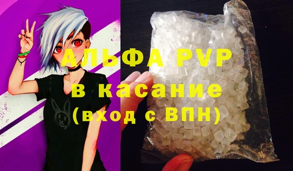 гашик Белокуриха