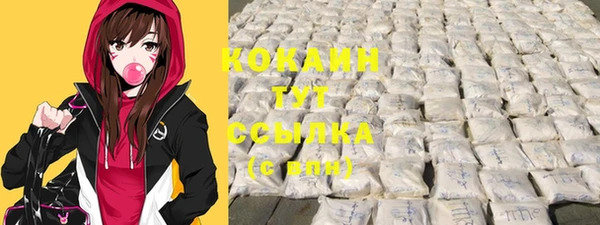 гашик Белокуриха